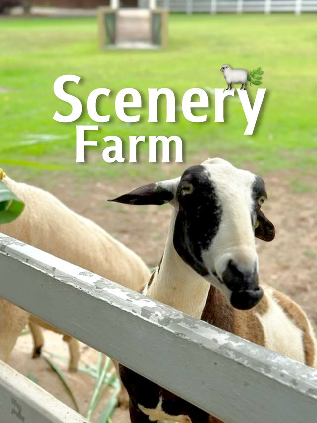 Scenery Farm! 🐑🌿