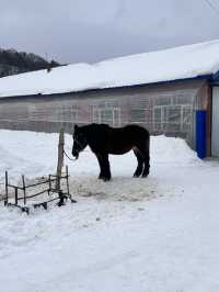 Snow Valley...อีกหมู่บ้านที่สวยงามไม่แพ้ Snowtown