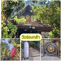 พิกัดเที่ยวบ้านร่องกล้า พิษณุโลก
