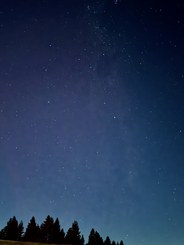 新西蘭的銀河真的太絕了！