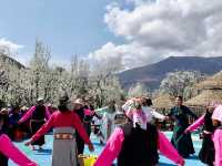 Chasing Sakura at Jinchaun Country in Sichuan Province