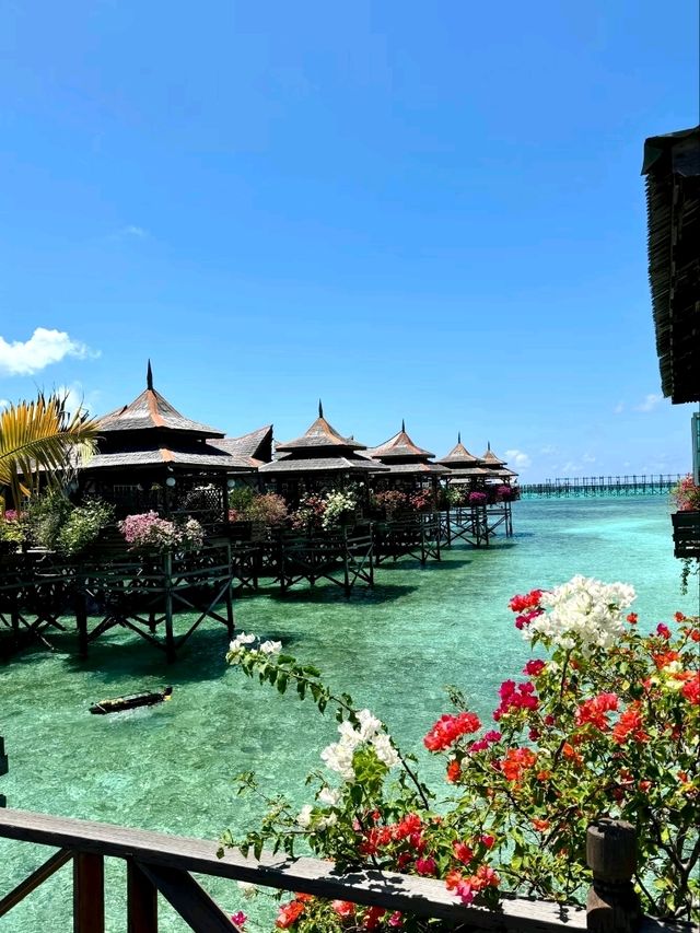 Kapalai: A Dive Into Pristine Beauty
