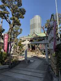 Springtime at Takagi Shrine🌸