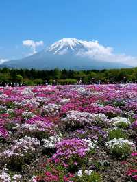 富士山×絶景フラワー🌸富士本栖湖リゾートで癒しのひととき