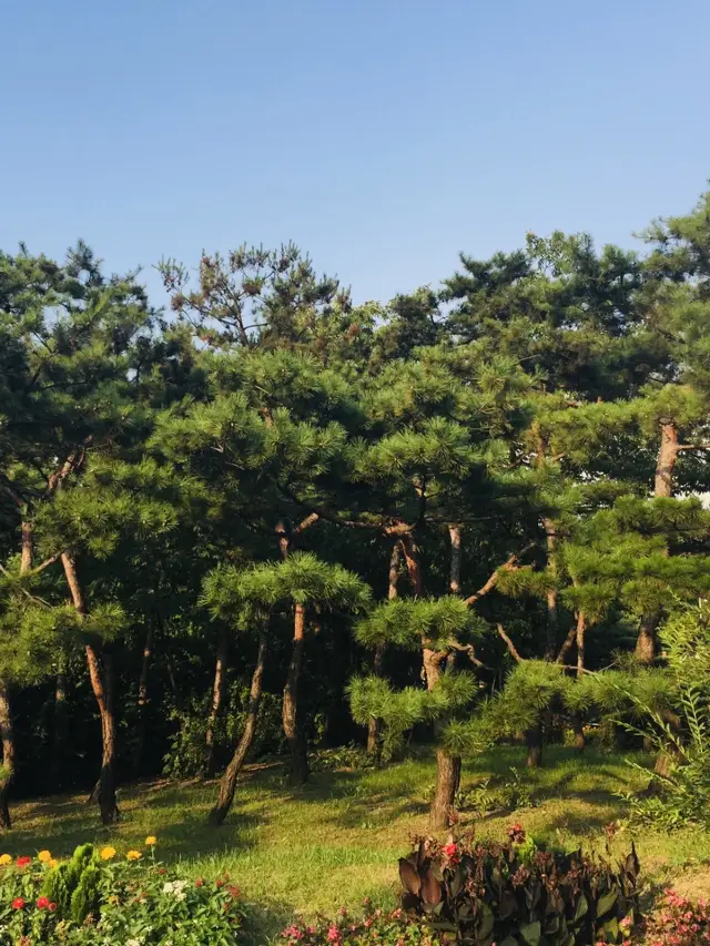 서울｜하루 여행｜북촌 한옥마을에서 출발