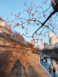 One find day at Cheonggyecheon Stream in Seoul 🇰🇷