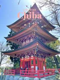 【千葉×柏】  布施の弁財天として親しまれるお寺  