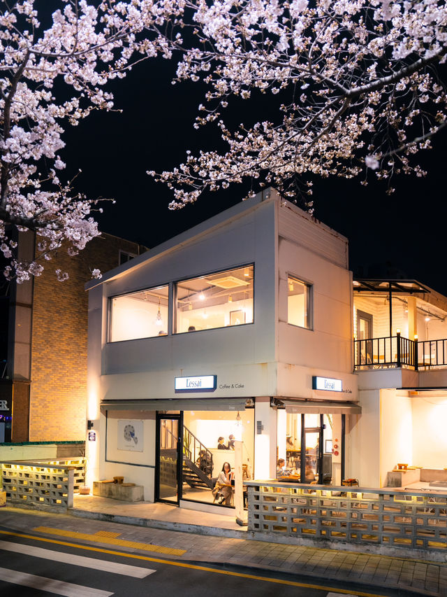 벚꽃이 가득한 온천천 카페거리 밤산책🌸🖤
