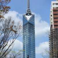 福岡塔（Fukuoka Tower）
