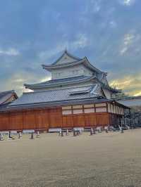 🏯 나고야성 – 나고야의 대표적인 관광지