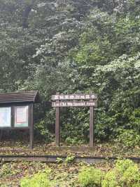 合家歡行山路線！新手適合多補給🙂