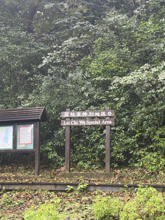 合家歡行山路線！新手適合多補給🙂