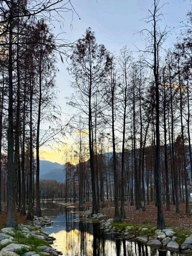 Shenjiang Village: Spring’s Secret Charm