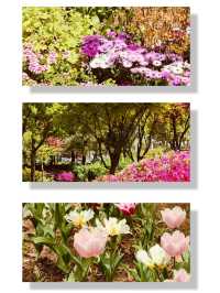Spring's Tranquil Trails: Exploring Maeheon's Diverse Landscapes 