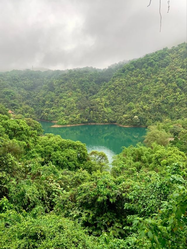 Dinghu Mountain-Perfect Blend of Nature and Spirituality