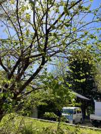 大聖院にある公園：静かなひとときを過ごせる癒しの場所🌳