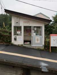 箱根登山鉄道で行く山の旅！大平台〜宮ノ下の絶景ルート🚋