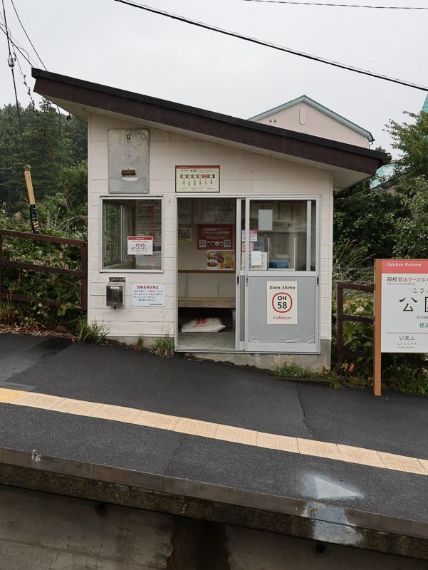 箱根登山鉄道で行く山の旅！大平台〜宮ノ下の絶景ルート🚋