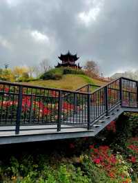 Shenzhen Yulong Park– A Hidden Oasis in the Urban Jungle