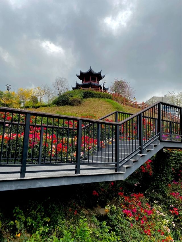 Shenzhen Yulong Park– A Hidden Oasis in the Urban Jungle