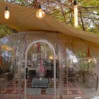 คาเฟ่&ร้านอาหาร ฟีลป่า กลางกรุง #กรุงเทพฯ