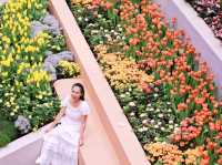 เที่ยวงานดอกไม้ Wondrous Bloom 