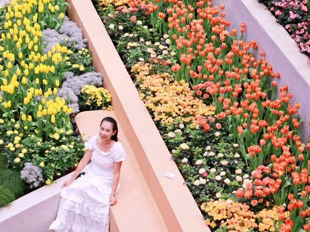 เที่ยวงานดอกไม้ Wondrous Bloom 