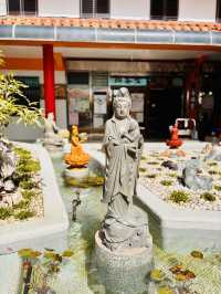 🙏✨ 探索千佛山菩提寺：靈性之旅的心靈聖地！