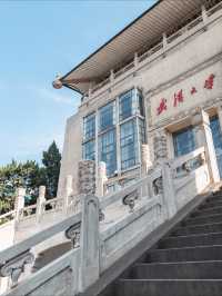 Wuhan University | No Booking Needed! Full Walk & Photo Guide