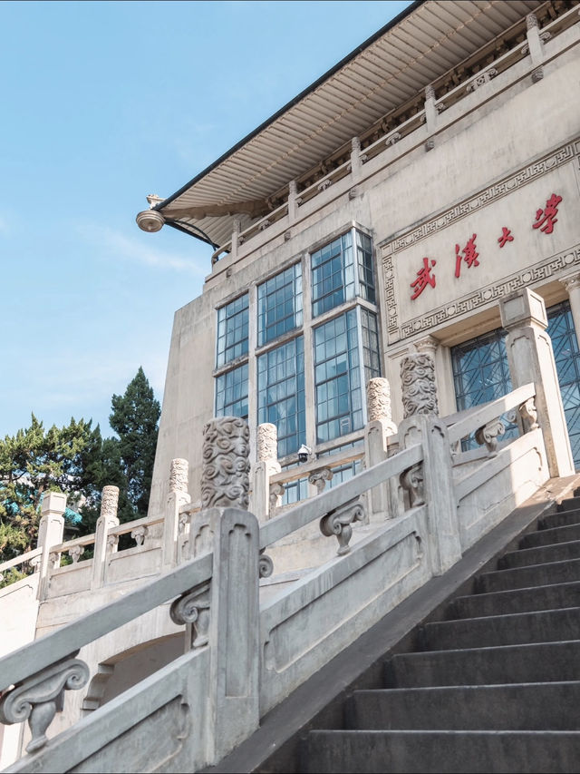 Wuhan University | No Booking Needed! Full Walk & Photo Guide