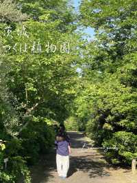 無料で入園できる日がある！？つくば植物園🌱