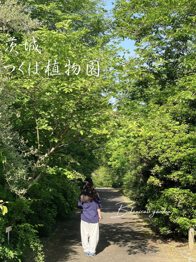 無料で入園できる日がある！？つくば植物園🌱