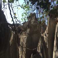 走進另一個世界｜Tsingy De Bemaraha National Park