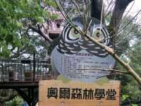 #奧爾森林學堂-桃園市桃園區