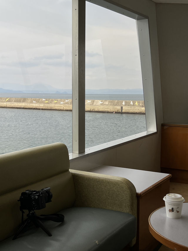 【鹿児島•桜島】景色、グルメ、桜島。ぜんぶ詰め込んだ1日観光｜鹿児島