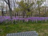 Kinchakuda Park, Saitama