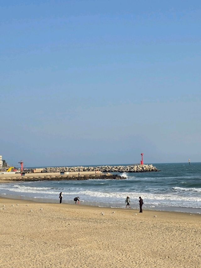🌊 海雲台夢幻之旅：探索韓國的海洋天堂 🏖️✨