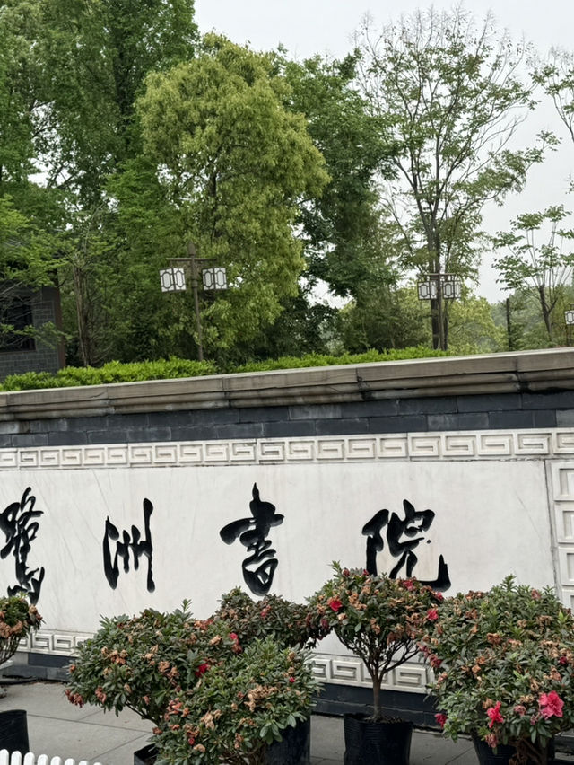 反向旅遊成功！吉安這座神仙小城🫶