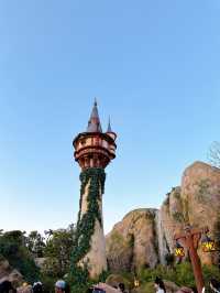 Cherry Blossom in Miyagi, having fun in Disneyland, relaxing time in onsen.