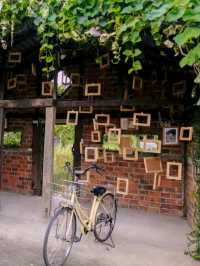 คาเฟ่บ้านดิน Naturetalk