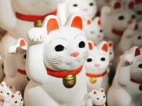 東京🇯🇵日本最萌貓咪神社⛩️豪德寺🐱