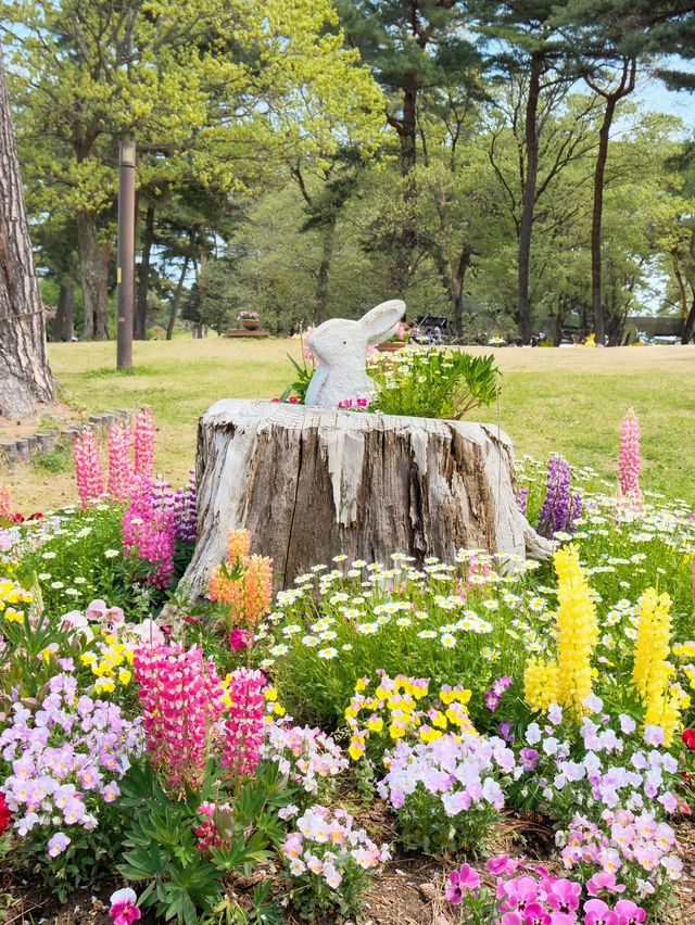 【茨城】まるでキューケンホフ公園⁈