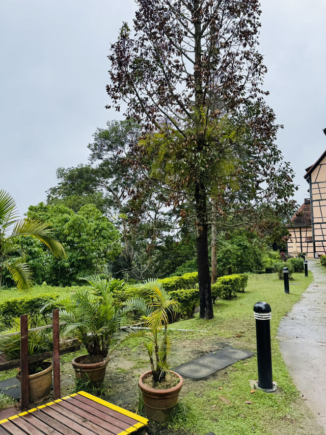 Garden Paths That Lead to Peace