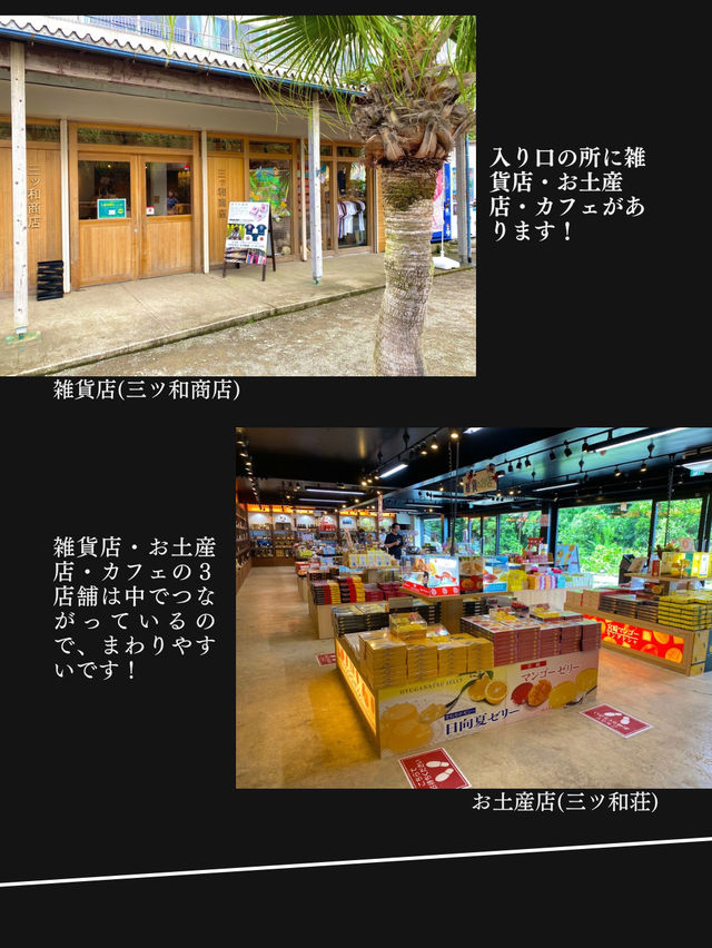 【海岸沿いに位置する洞窟の中にある神社】鵜戸神宮