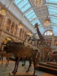 Kelvingrove Art Gallery and Museum