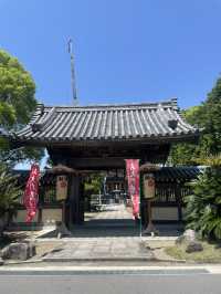 【日本🇯🇵】玉名　赤ちゃん土俵入り