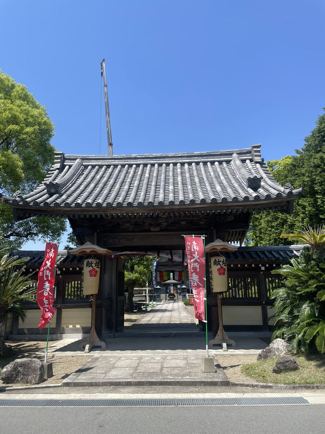 【日本🇯🇵】玉名　赤ちゃん土俵入り