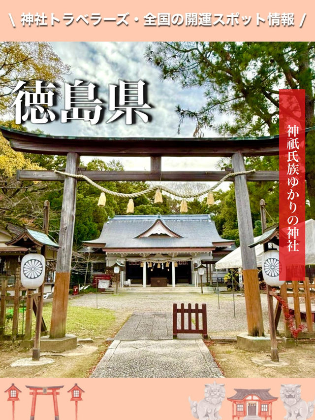 【徳島県】神祇氏族ゆかりの神社