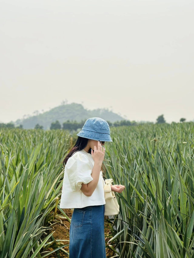 Ninh Bình- Việt Nam
