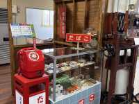 【北海道】剥製に囲まれる体験【網走市立郷土博物館】